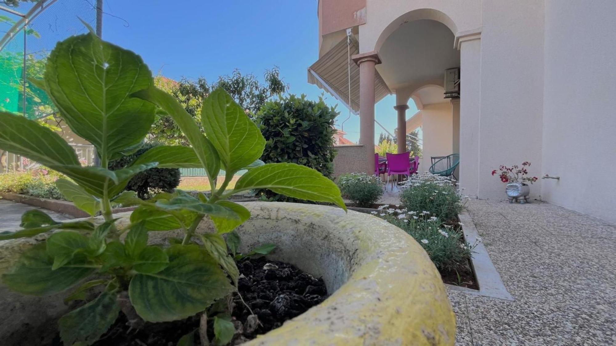 Apartments Villa Rotim Zadar Exterior photo